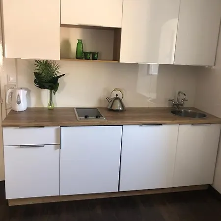Apartman Dubravka Iza Roka *